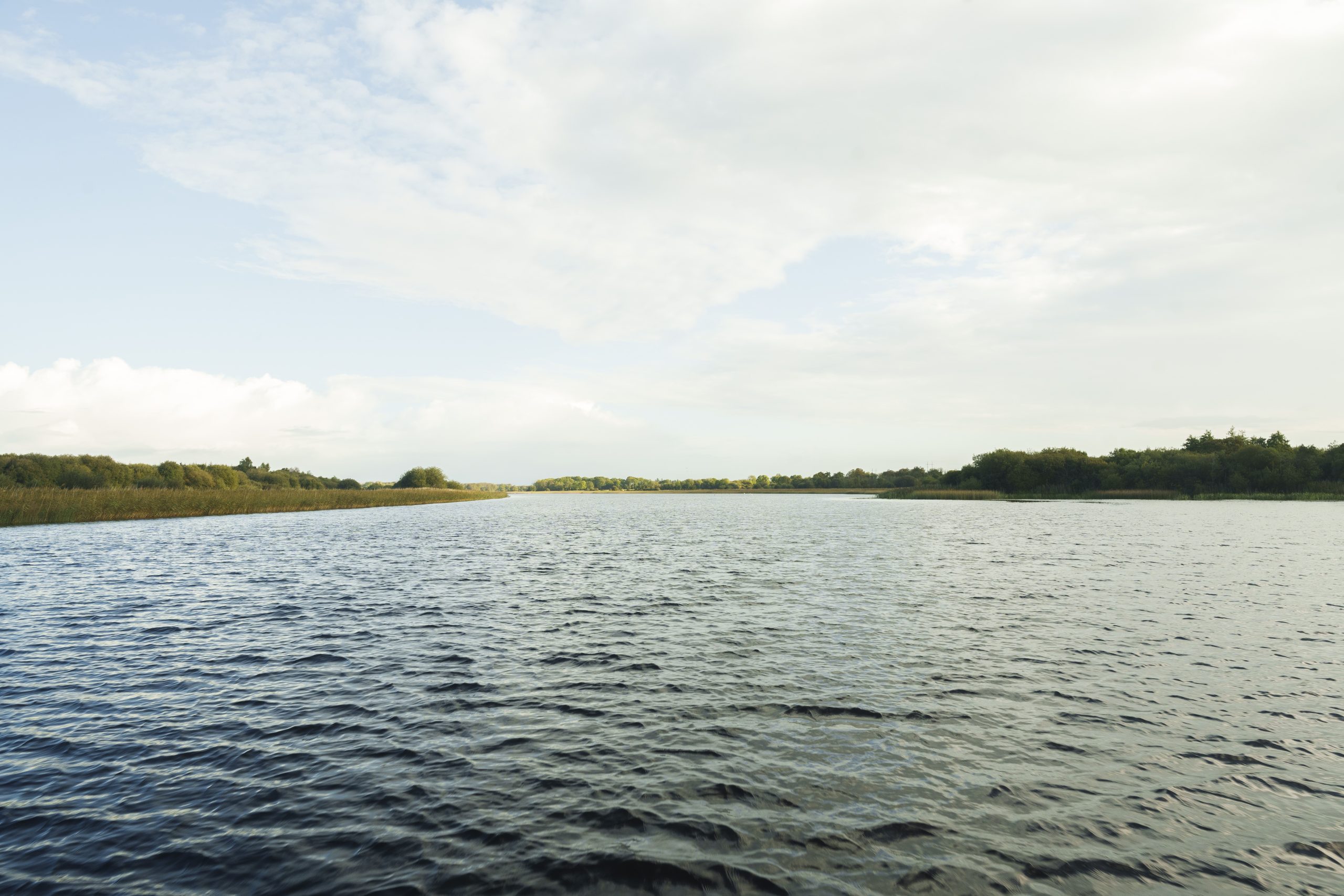 Beautiful nature in Lough Ree, in Co Longford