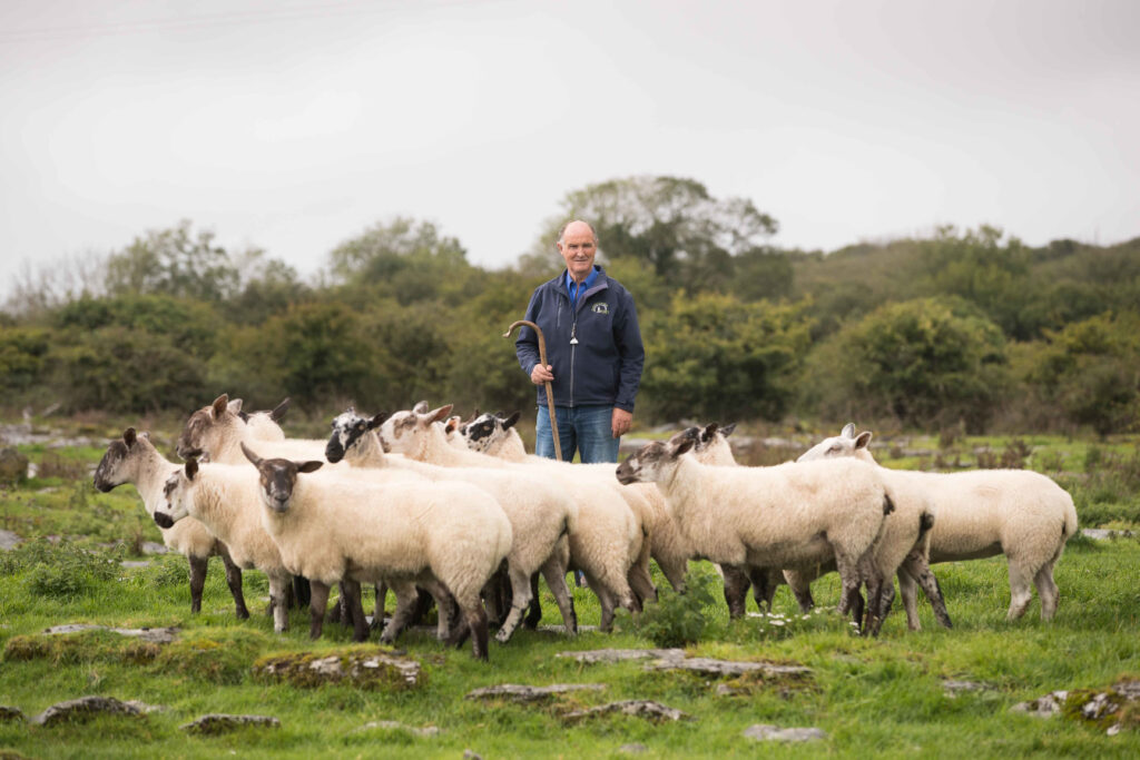John at Caherconnell Sheepdogs giving a demonstration with the Border Collies 💚